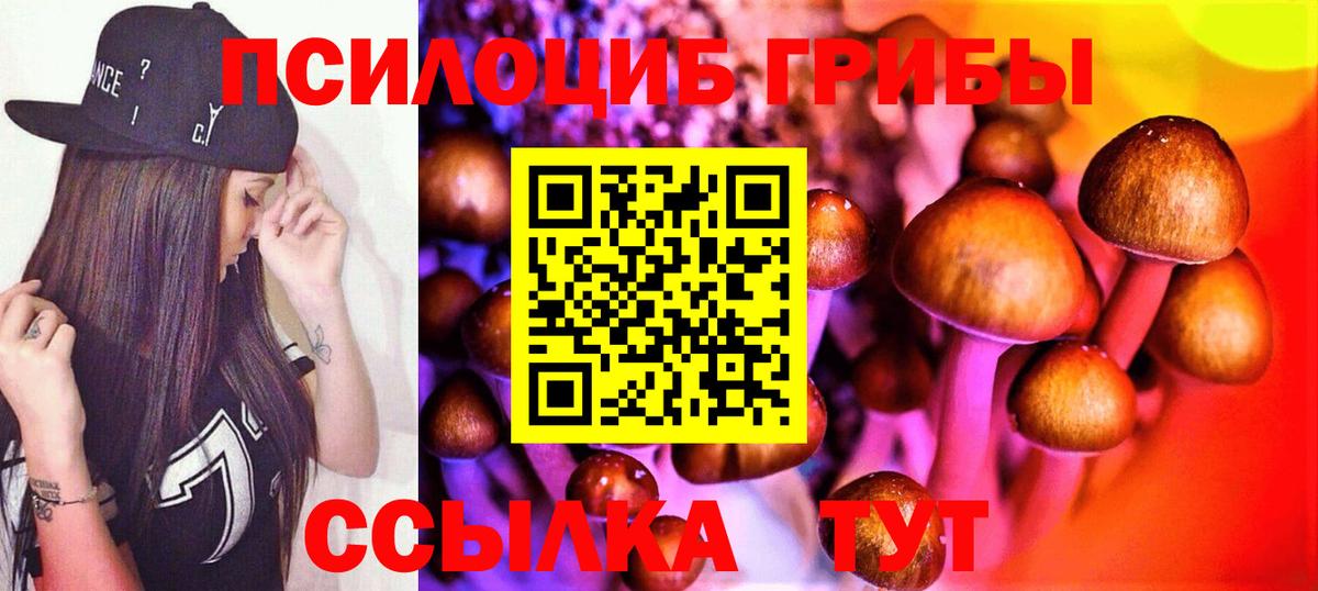 Екатеринбург  Псилоцибиновые грибы мицелий  Галлюциногенные грибы Psilocybine cubensis  Вход с VPN 