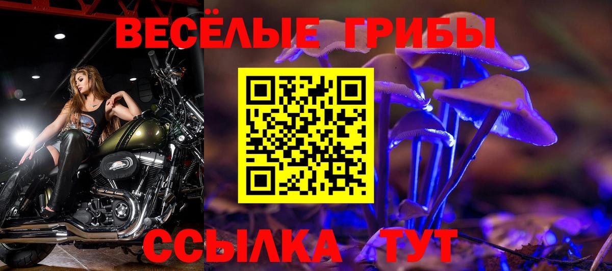 Псилоцибиновые грибы Psilocybe Екатеринбург